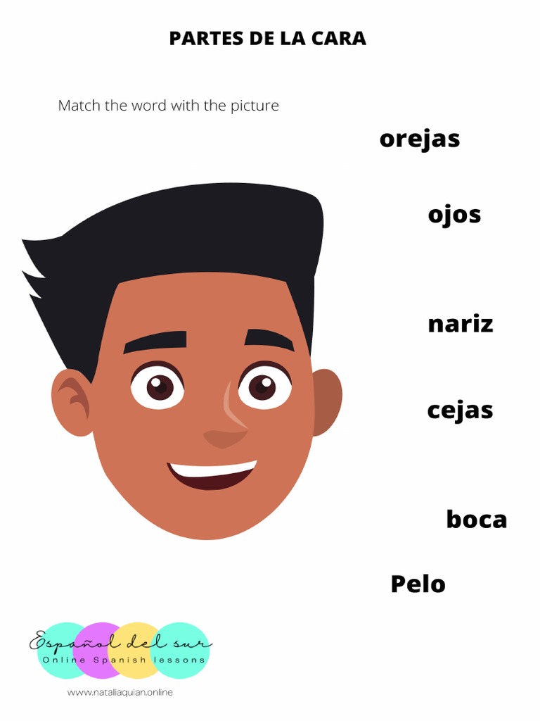 Partes de La Cara en Español | PDF