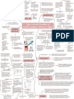 Mapa Mental - Lectura 6