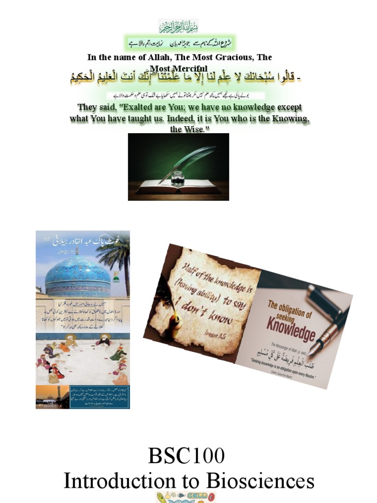 Lecture 6 PDF Protein Folding Gibbs Free Energy