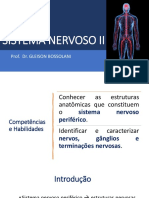 Sistema Nervoso Periferico