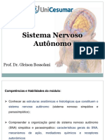 Sistema Nervoso Autônomo