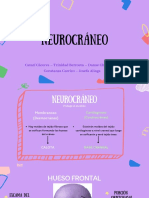 Neurocráneo