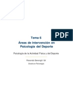 Tema 6 - Áreas de Intervención en Psicología Del Deporte