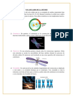 Vocabulario de La Mitosis