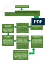 Etapas Esporas Bacterianas