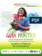AMAZONÍA INDÍGENA: GUÍA INTERSECCIONAL