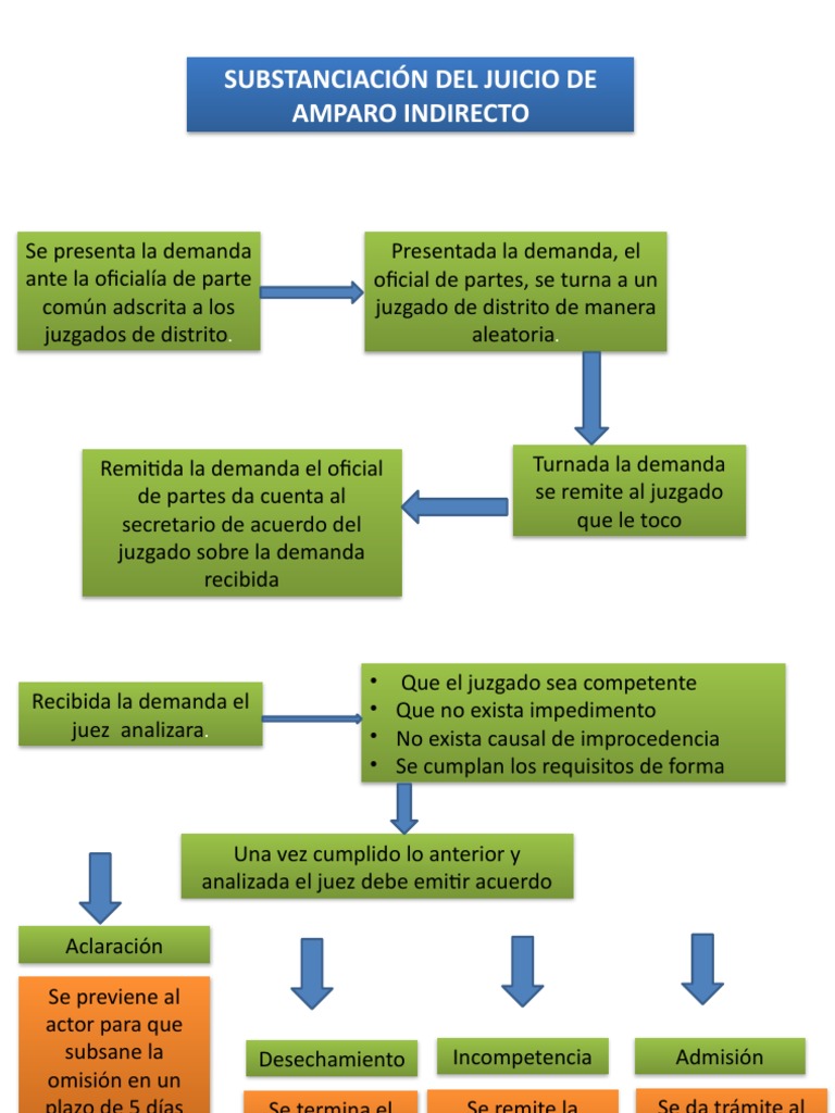 Proceso del Juicio de Amparo Indirecto | PDF | Demanda judicial | Justicia