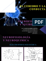 El Cerebro y La Conducta