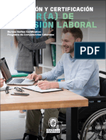 Perfil Inclusion Laboral