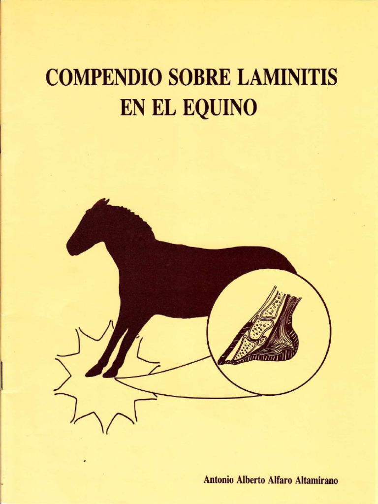 COMPENDIO SOBRE LAMINITIS EN EL EQUINO Compressed PDF Artería Sangre