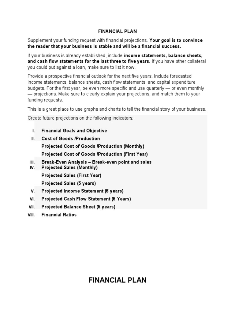 Financial Plan PDF Revenue Equity (Finance)