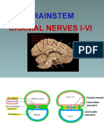 Brainstem CN1-6