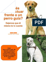 El Perro Guia