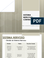 64664-Sistema Nervoso Central