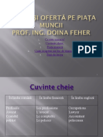 Cerere Si Oferta Pe Piata Muncii