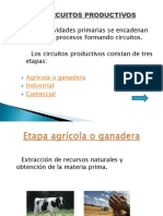 Circuitos Productivos