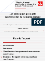 Les Principaux Polluants Cancérogènes de L'environnement