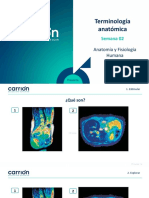 PSA02 ND II Anatomia y Fisiologia Humana