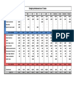 Budget Prévisionnel Sur 12 Mois