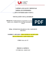 Formato Informe Del Desarrollo de La Práctica