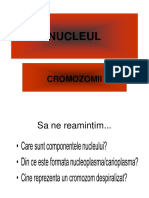 Cromozomii