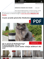 Pisica Nebelung - Google Search