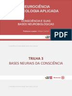 Trilha 3_Slides_Bases Neurais da Consciência