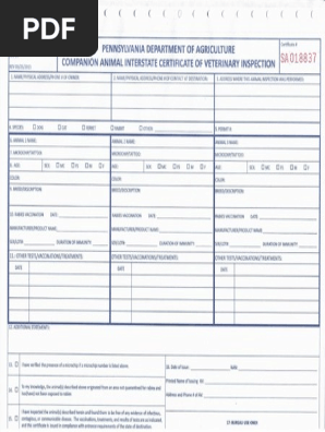 Blank PA Health Certificate