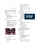 C2 - Semiologia Cabeza y Cuello