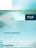 Diapositivas Sistema Motor