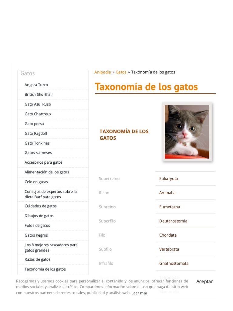 Taxonomía de los gatos PDF