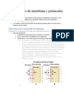 Potenciales de Membrana y Potenciales de Acción