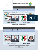 Cedula de Votacion CPJ