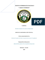 PT 2 Formato Proyecto Producción Técnica