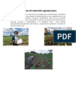 Sistemas de extensión agropecuaria: Enfoques clásico y participativo