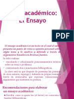 Texto Académico, El Ensayo