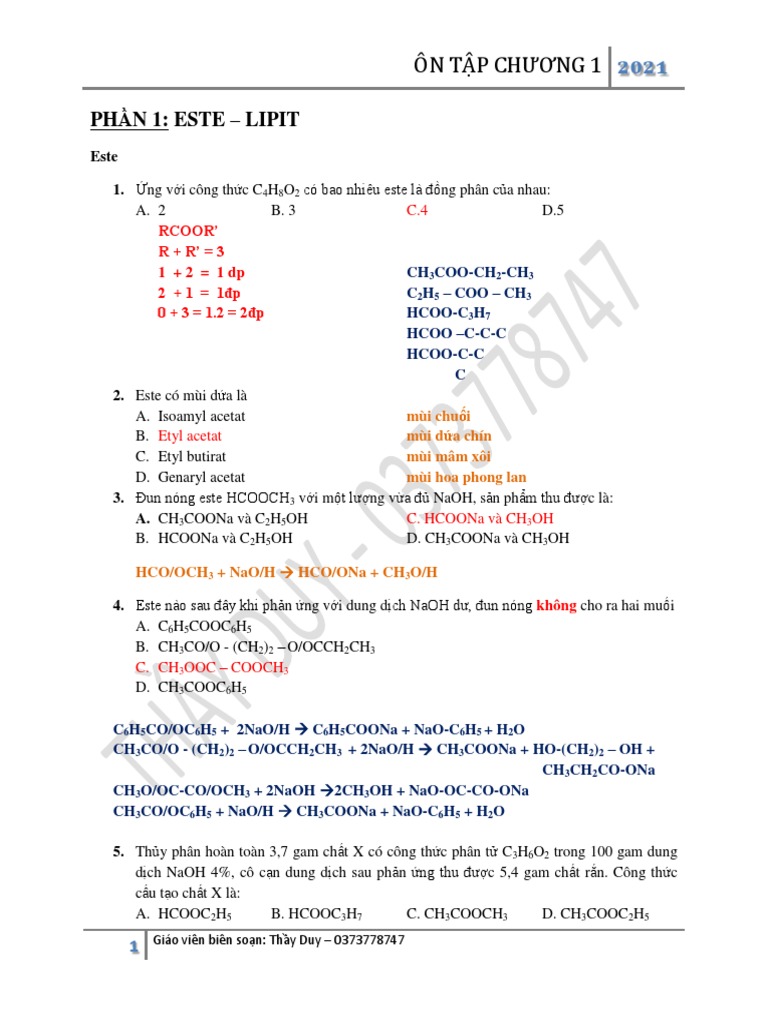 File đề ôn tập ESTE - CÓ ĐÁP ÁN | PDF