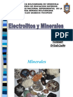 Electrolitos y Minerales