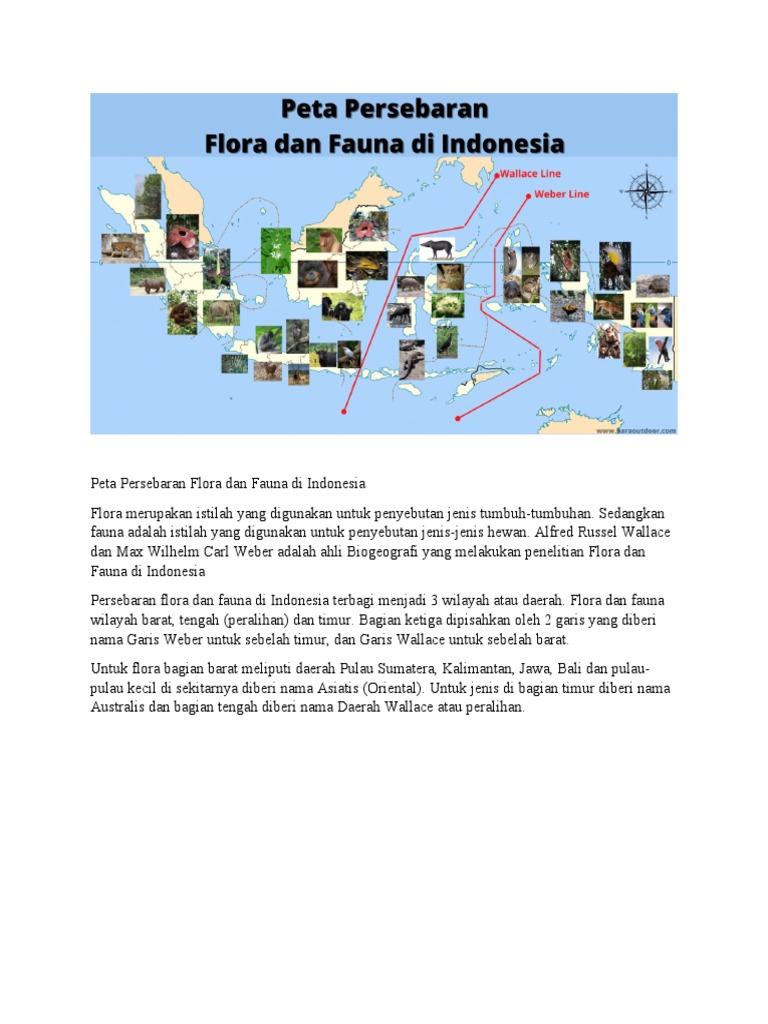 Peta Persebaran Flora Dan Fauna Di Indonesia | PDF