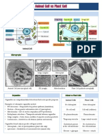 2.6 2.7 Animal Plant Cells