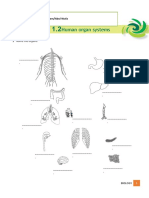 Worksheet 1.2 Human Organ Systems copy