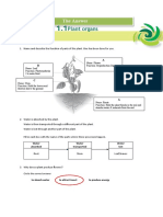 Ans 1.1 Plant Organs