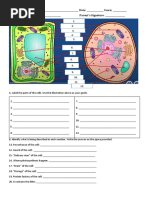 Quiz Animal and Plant Cell