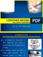 Meniscectomía y reparación meniscal: aspectos anatómicos, biomecánicos y patológicos