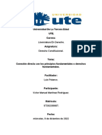 Derechos Fundamentales Conceptos (DERECHOS FUNDAMENTALES CONCEPTOS