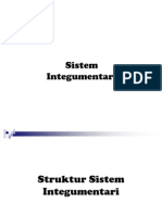 Sistem Integumentari