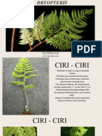 Revisi - 029 - Ira Fatmasari - Genus Dryopteris