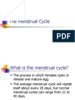 Mestrual cycle PPT