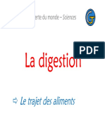 La-digestion-Le-trajet-des-aliments