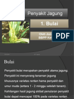 Bulai